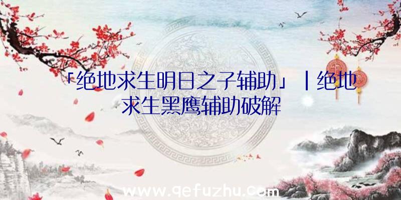 「绝地求生明日之子辅助」|绝地求生黑鹰辅助破解